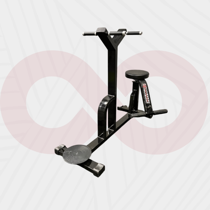 Infinity Fitness Seated Twister Machine